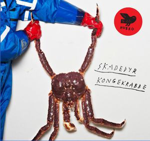 Kongekrabbe