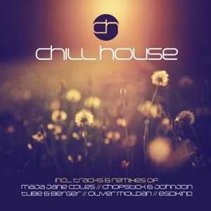 Chill House / Various