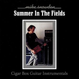 Summer in the Fields: Cigar Box Guitar