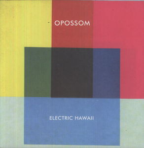 Electric Hawaii