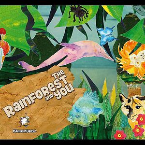 Rainforest & You