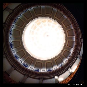 Night Bats / White Dresses