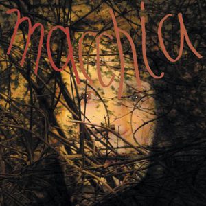 Macchia Forest