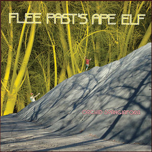 Flee Pasts Ape Elf