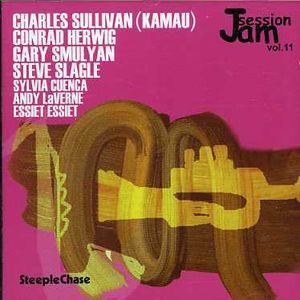 Jam Session, Vol. 11