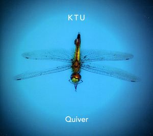 Quiver