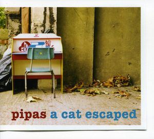 Cat Escaped