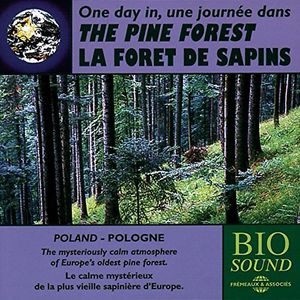 The Pine Forest