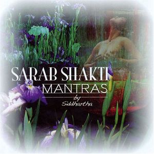 Sarab Shakti Mantras