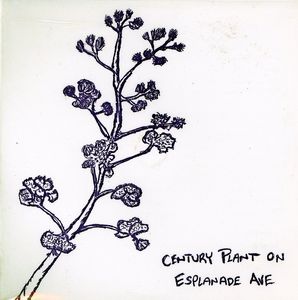 Century Plant on Esplanade Ave