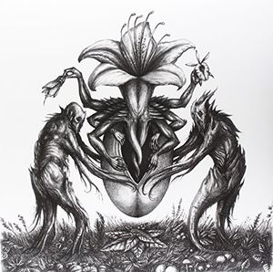 Iv: Mandragora