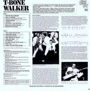 Inventor of the Blues Guitar
