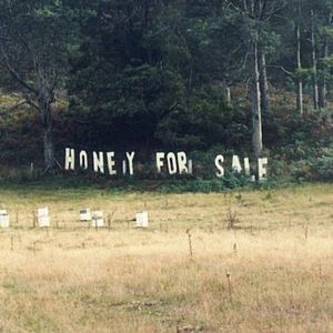 Honey for Sale