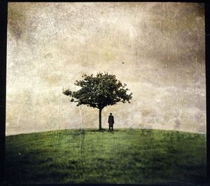 Burial Tree 2