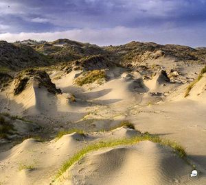 Dune Worship