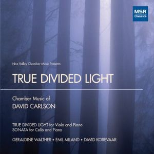 True Divided Light