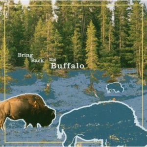 Bring Back the Buffalo