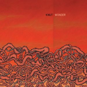 Wonder