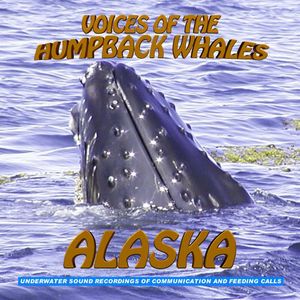 Voices of the Humpback Whales Alaska