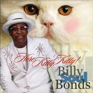 Here Kitty Kitty