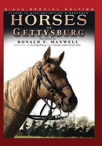 Horses Of Gettysburg