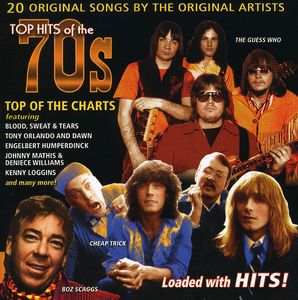 Top Hits Of The 70s: Top Of The Charts