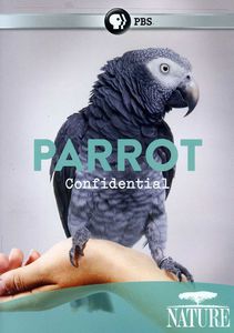 Nature: Parrot Confidential