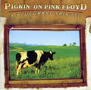 Pickin' On Pink floyd: A Bluegrass Tribute