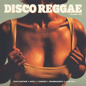 Disco Reggae Vol 2 / Various