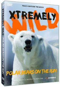 Polar Bears on the Run