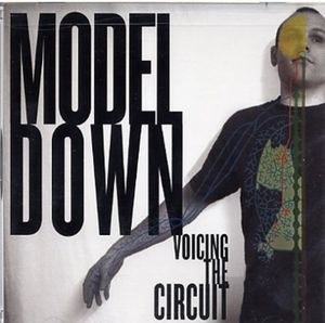 Voicing The Circuit