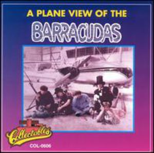 A Plane View Of The Barracudas