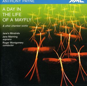 Day in the Life of a Mayfly / Song Streams