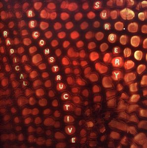 Scotty Hard's Radical Reconstructive Surgery - John Medeski and Matthew Shipp