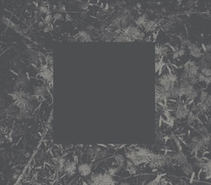 Poisoned Soil