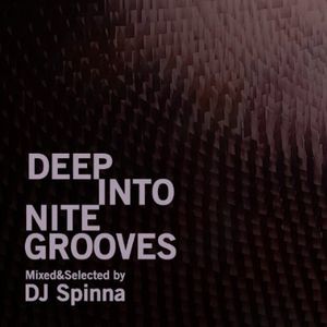 Deep Into Nite Grooves: Mixed By DJ Spin / Various