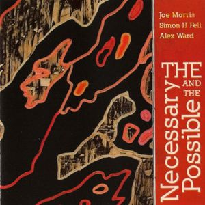 The Necessary and The Possible