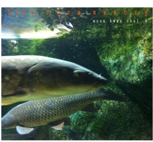 Boot from Memory [Import]