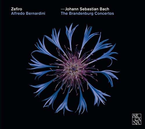 Brandenburg Concertos