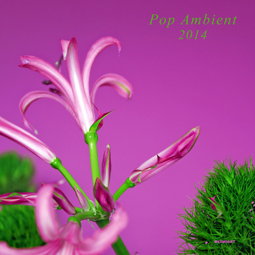 Pop Ambient 2014 /  Various