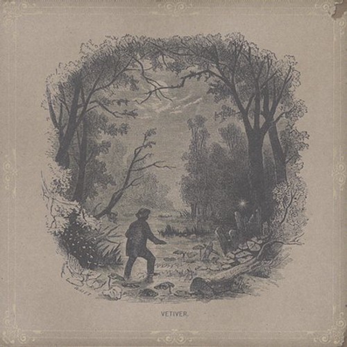 Vetiver