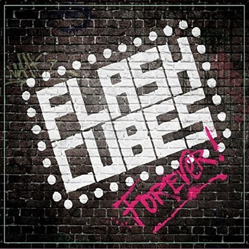 Flashcubes Forever|The Flashcubes