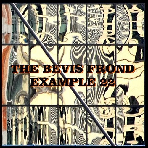 Example 22|The Bevis Frond