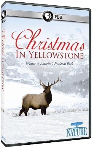 Nature - Christmas In Yellowstone