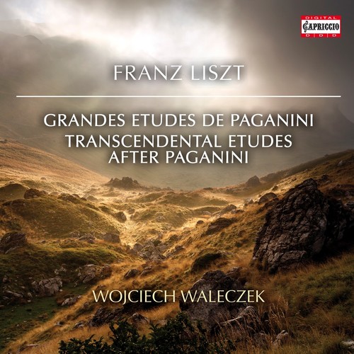 Transcendental Etudes After Paganini|Liszt / Walaczek