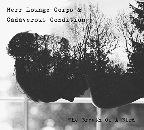 Breath Of A Bird