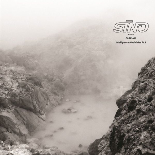 Intelligence Modalities, Pt.1|Pascual