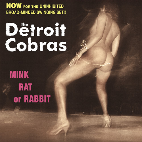 Mink, Rat Or Rabbit