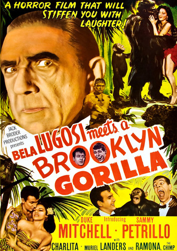 Bela Lugosi Meets a Brooklyn Gorilla