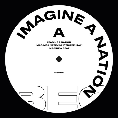 Imagine A Nation / For The Crazy